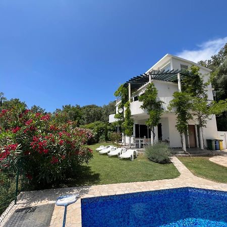 Green Villa In Olives Bar Ngoại thất bức ảnh